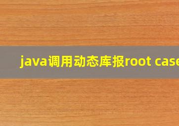 java调用动态库报root case